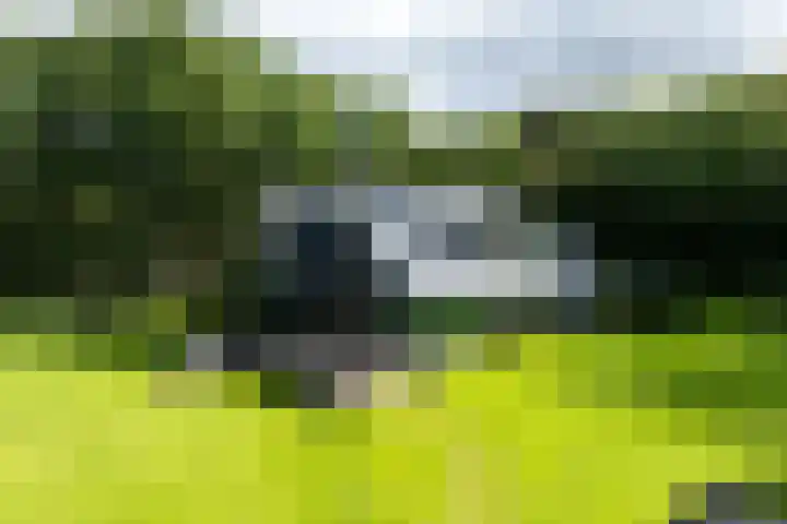 Niersenseweg 22 Vierhouten thumbnail 7