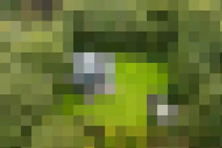 Niersenseweg 22 Vierhouten thumbnail 70