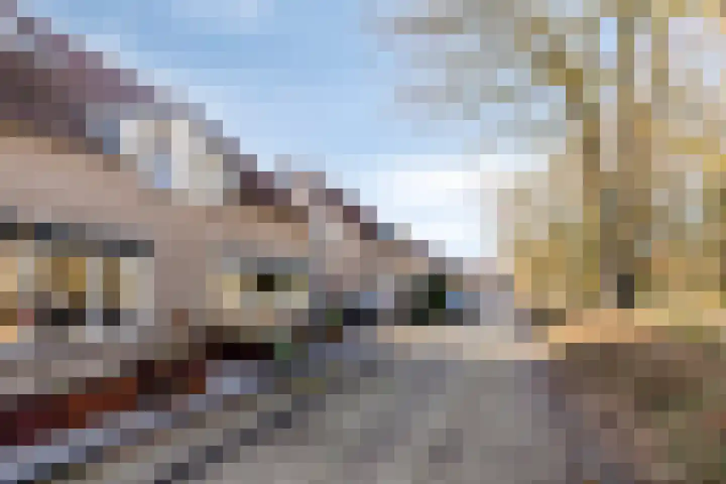 Nierslaan 42 Helmond thumbnail 9