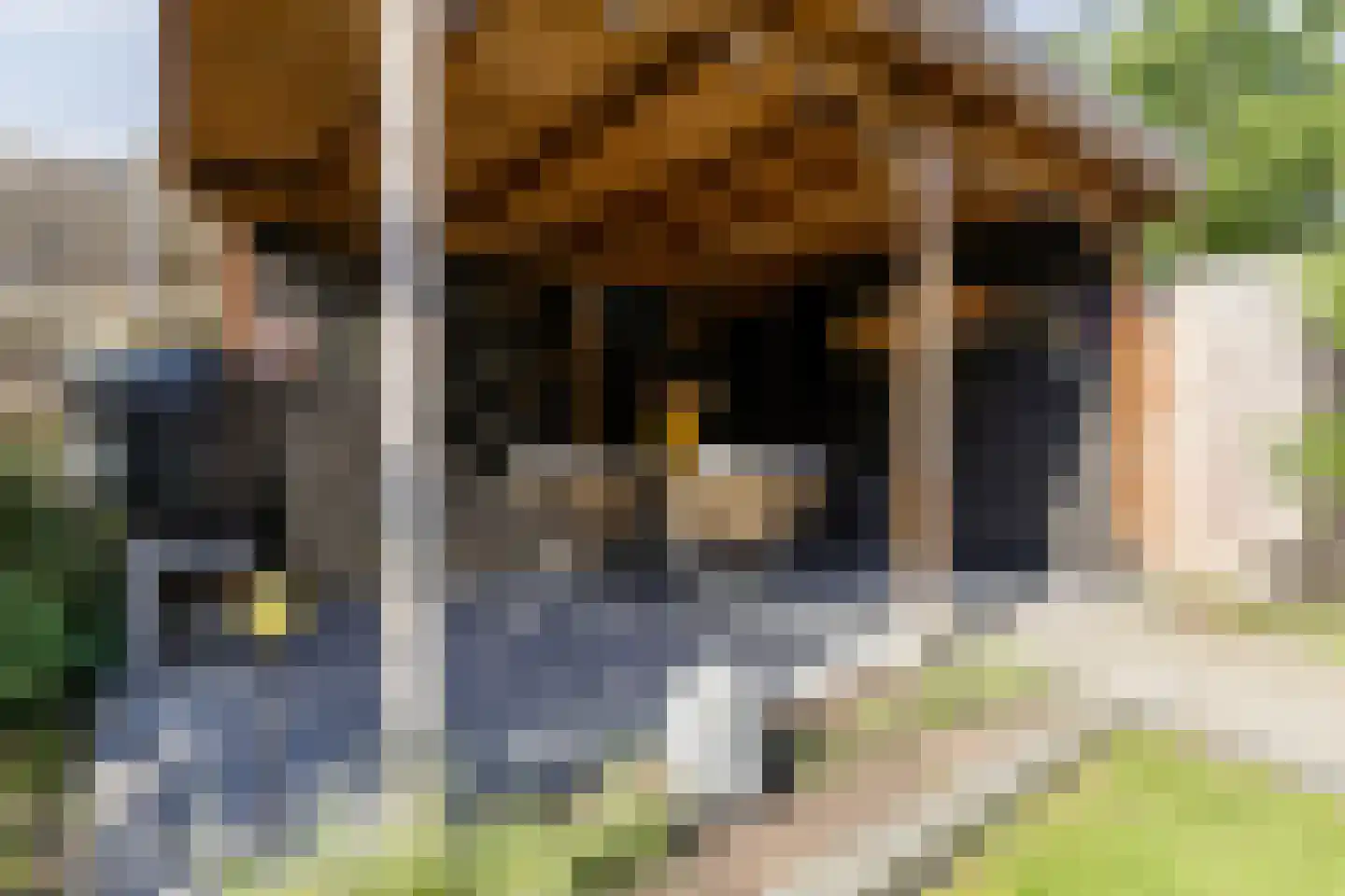 Nierslaan 44 Helmond thumbnail 41