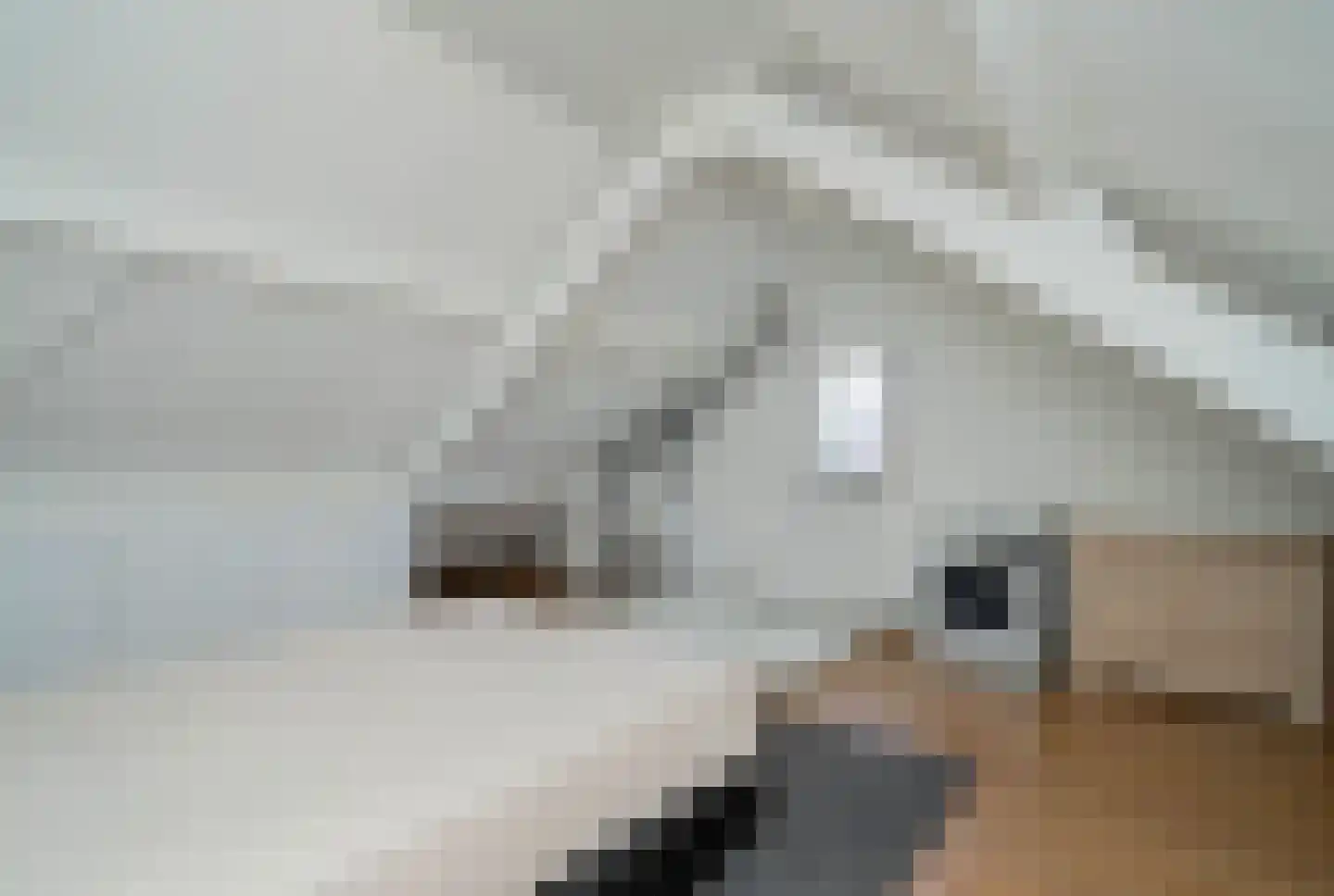 Nierslaan 6 Helmond thumbnail 33