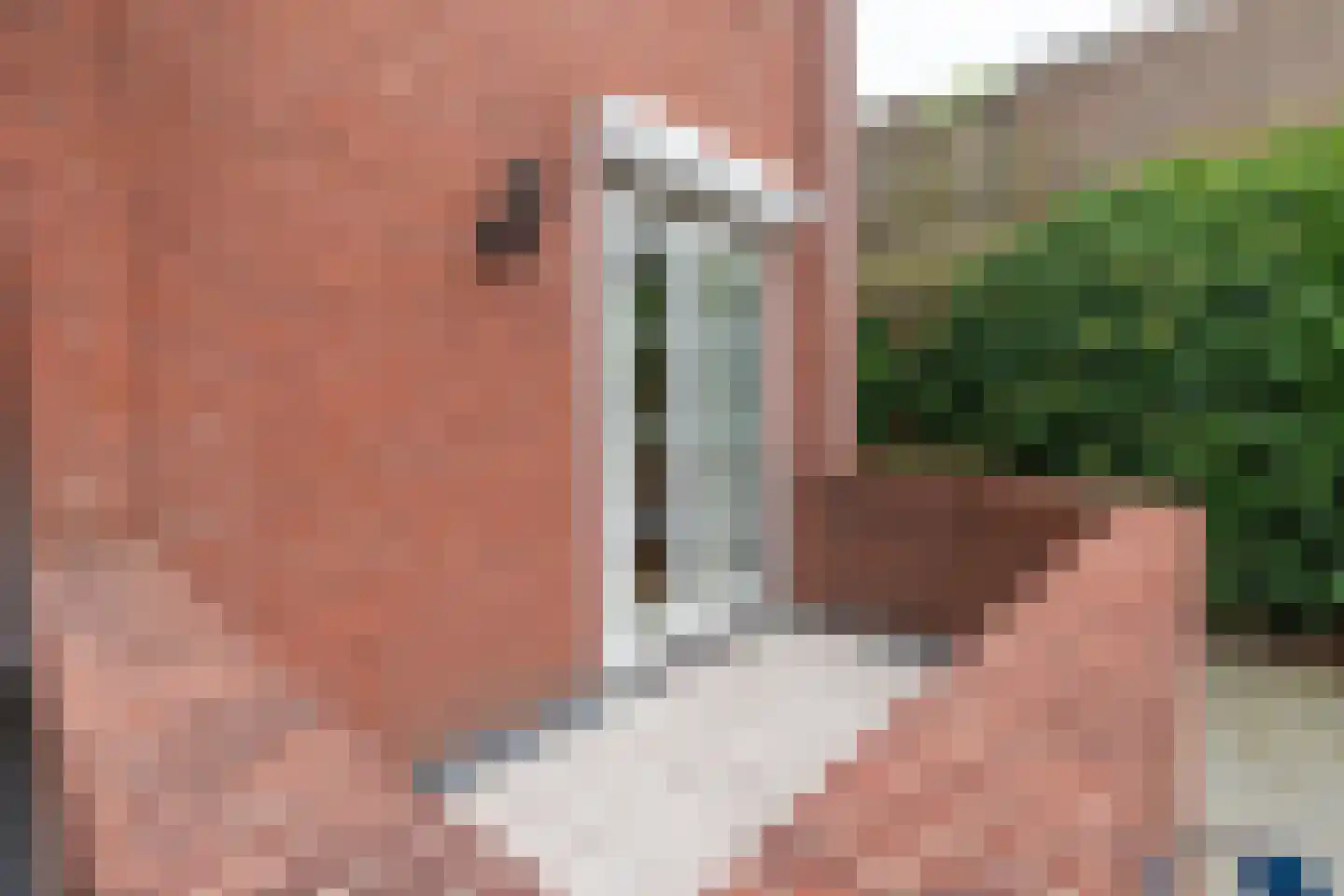 Niersprinkstraat 51 Kerkrade thumbnail 16