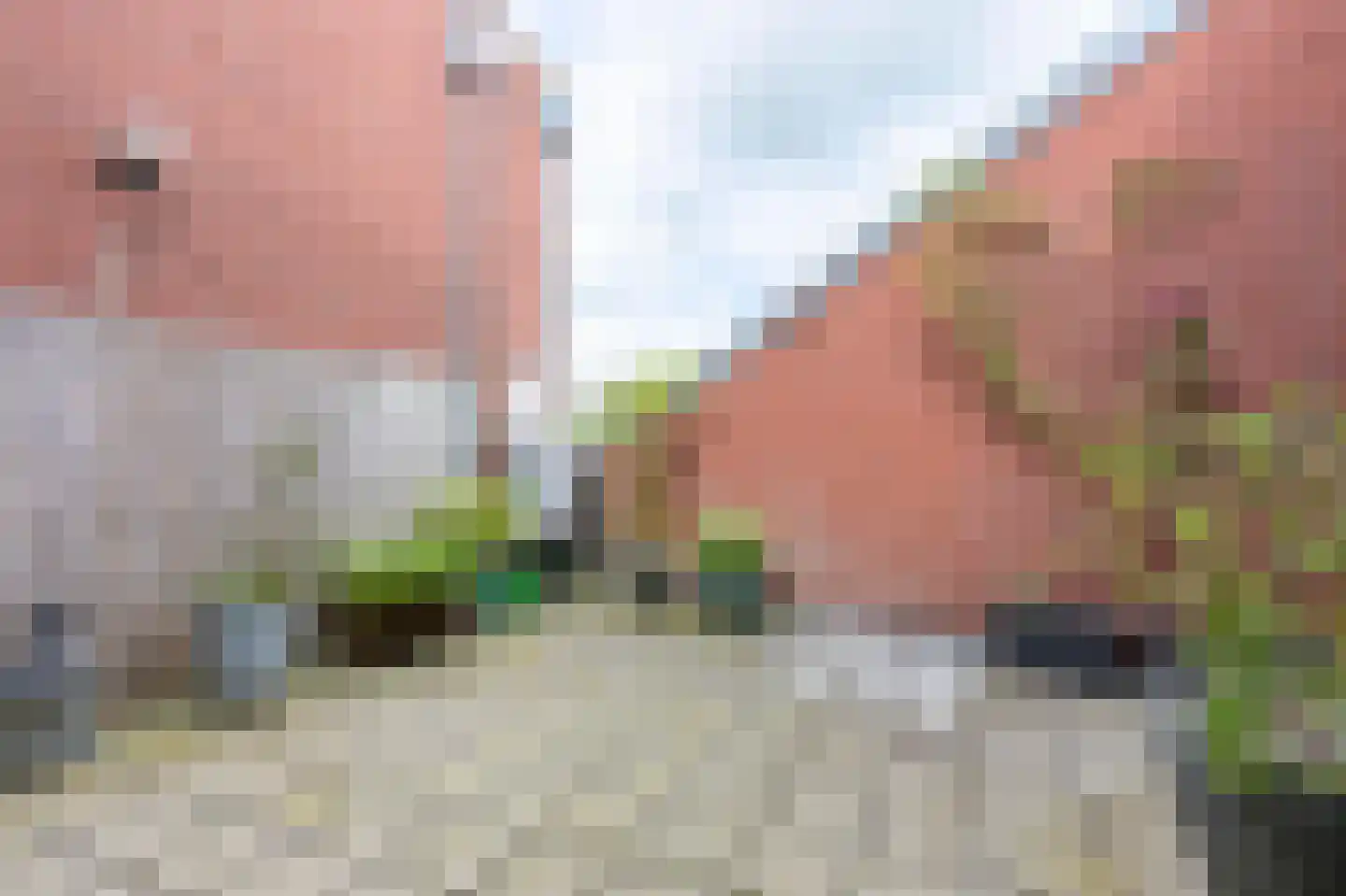Niersprinkstraat 53 B Kerkrade thumbnail 28