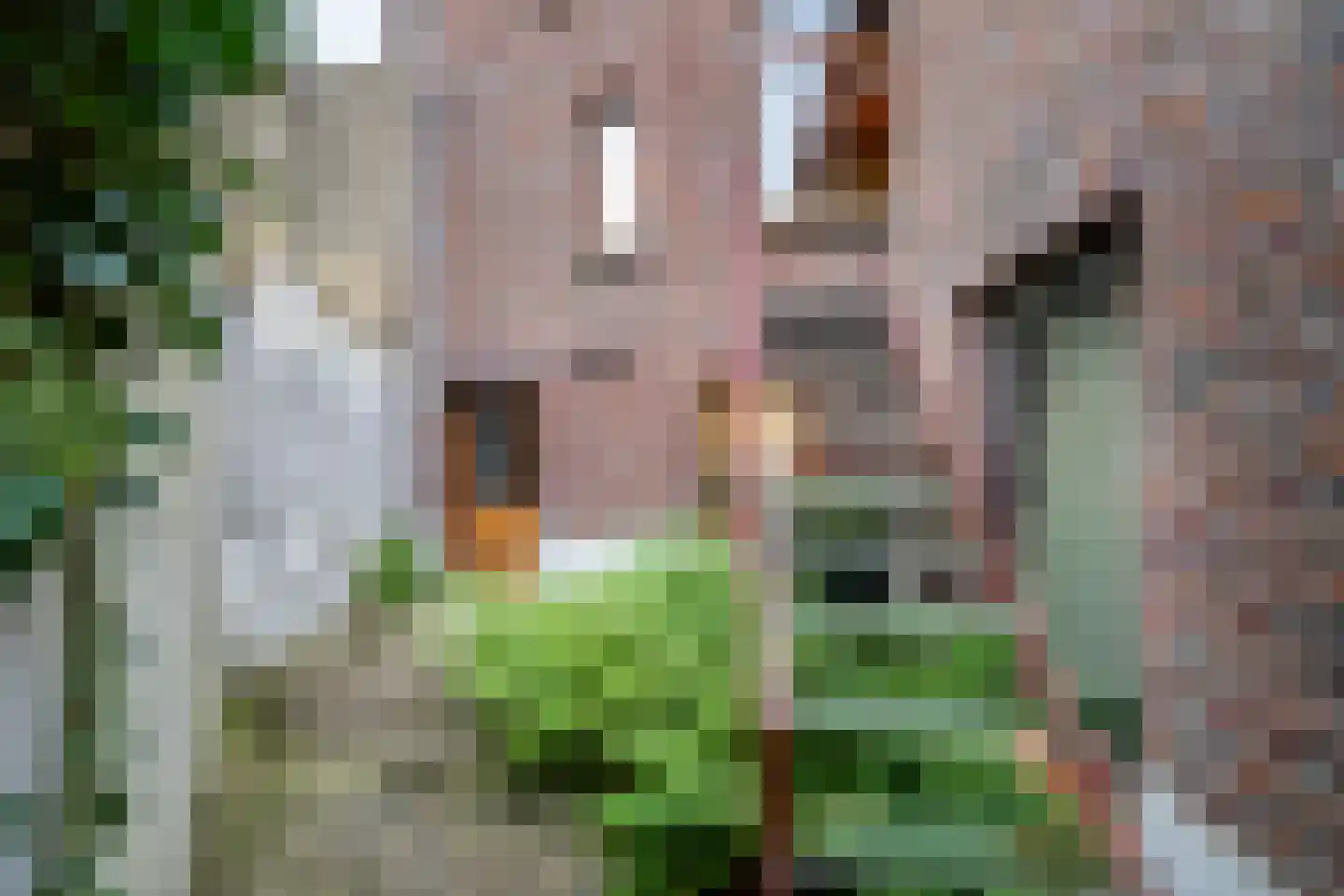Niersprinkstraat 71 Kerkrade thumbnail 25