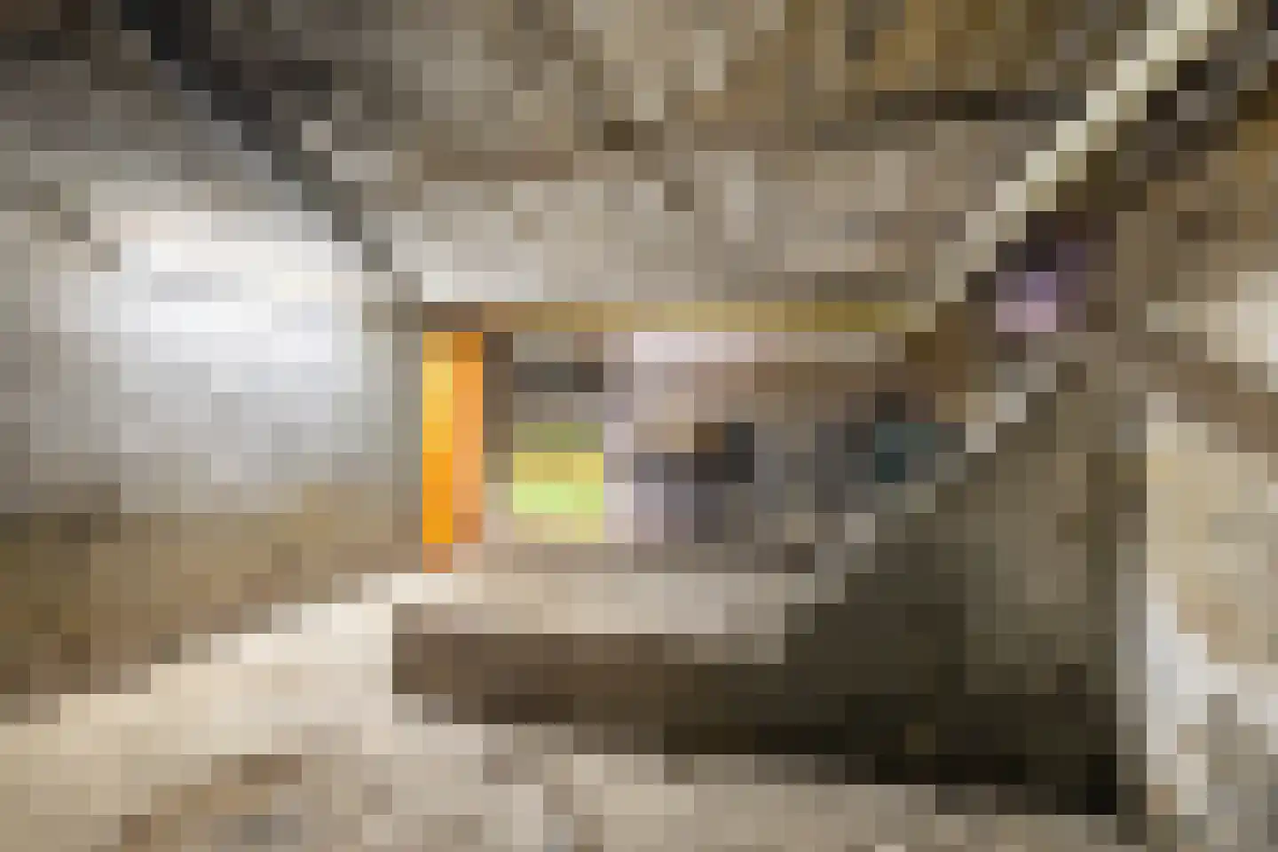 Niersprinkstraat 71 Kerkrade thumbnail 34