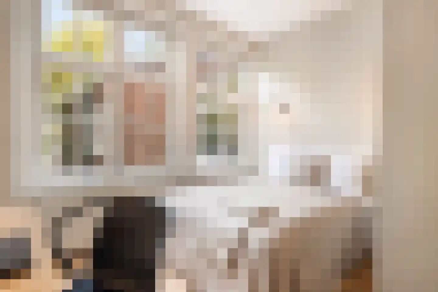 Niersstraat 20 1 Amsterdam thumbnail 18
