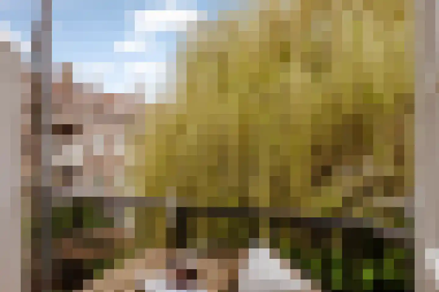 Niersstraat 20 1 Amsterdam thumbnail 28