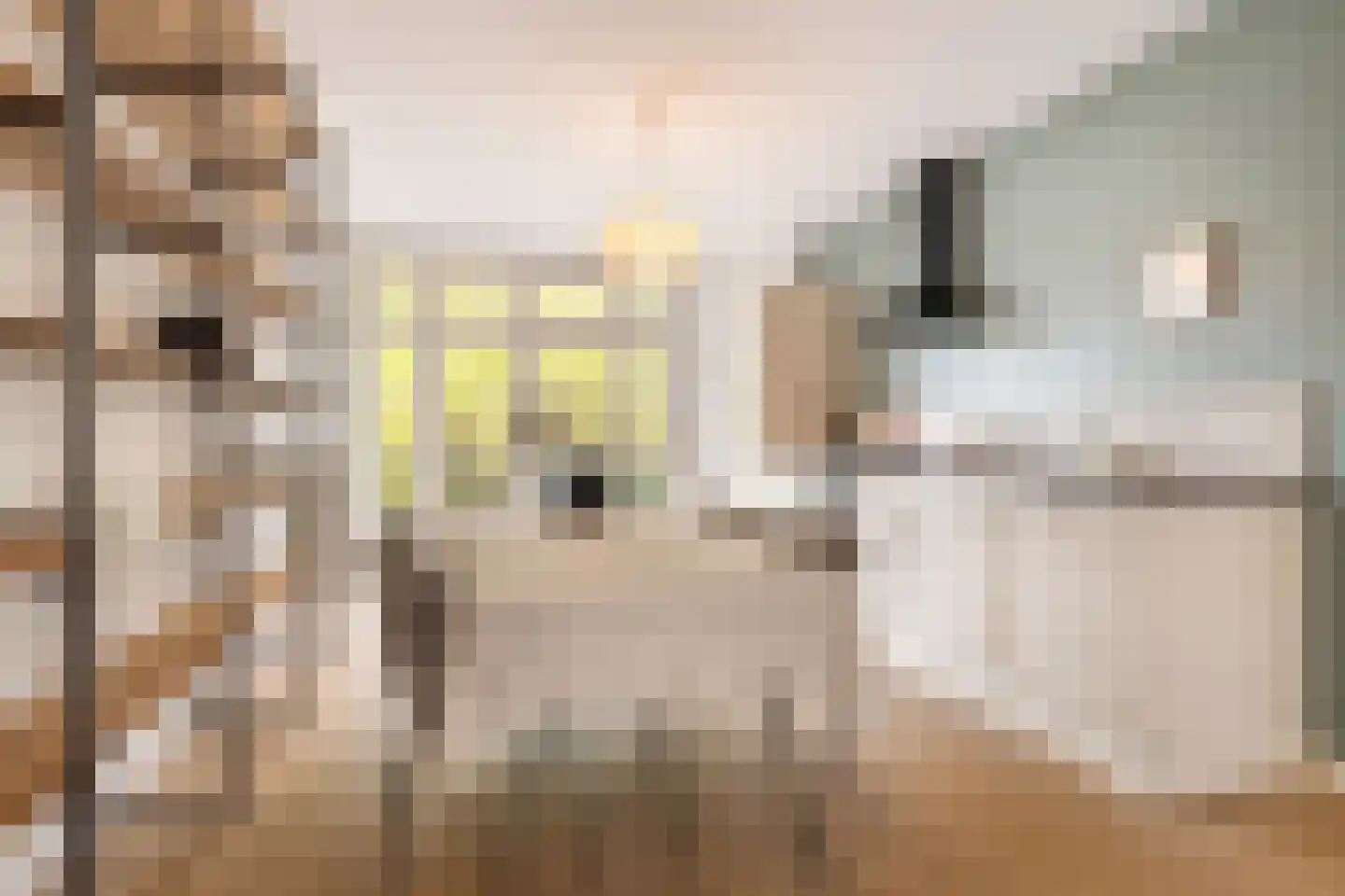 Niersstraat 20 1 Amsterdam thumbnail 9