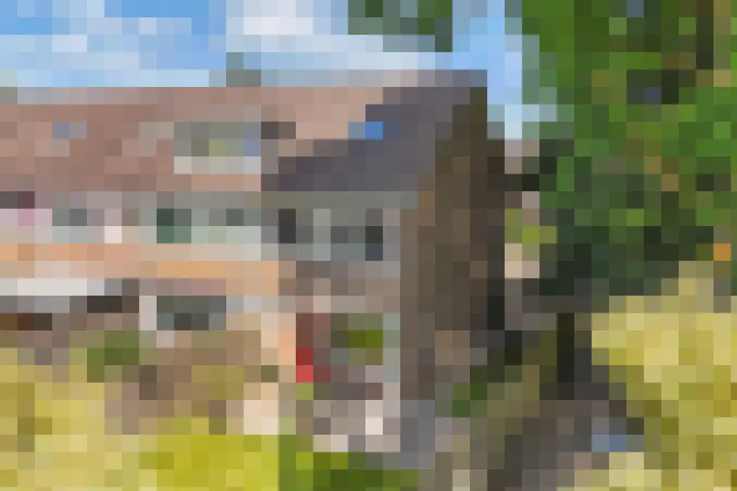 Niersstraat 20 Emmeloord thumbnail 31