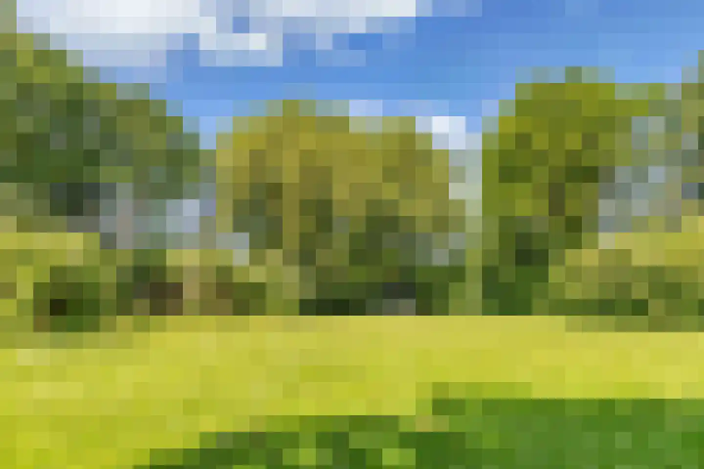 Niersstraat 20 Emmeloord thumbnail 36