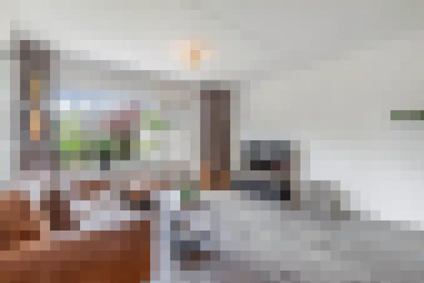 Niersstraat 20 Emmeloord thumbnail 7