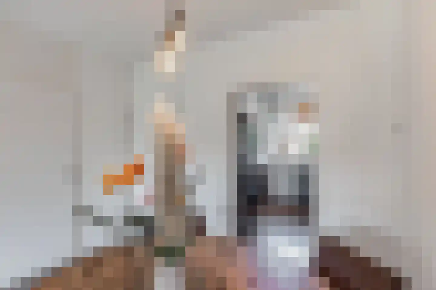Niersstraat 20 Emmeloord thumbnail 8