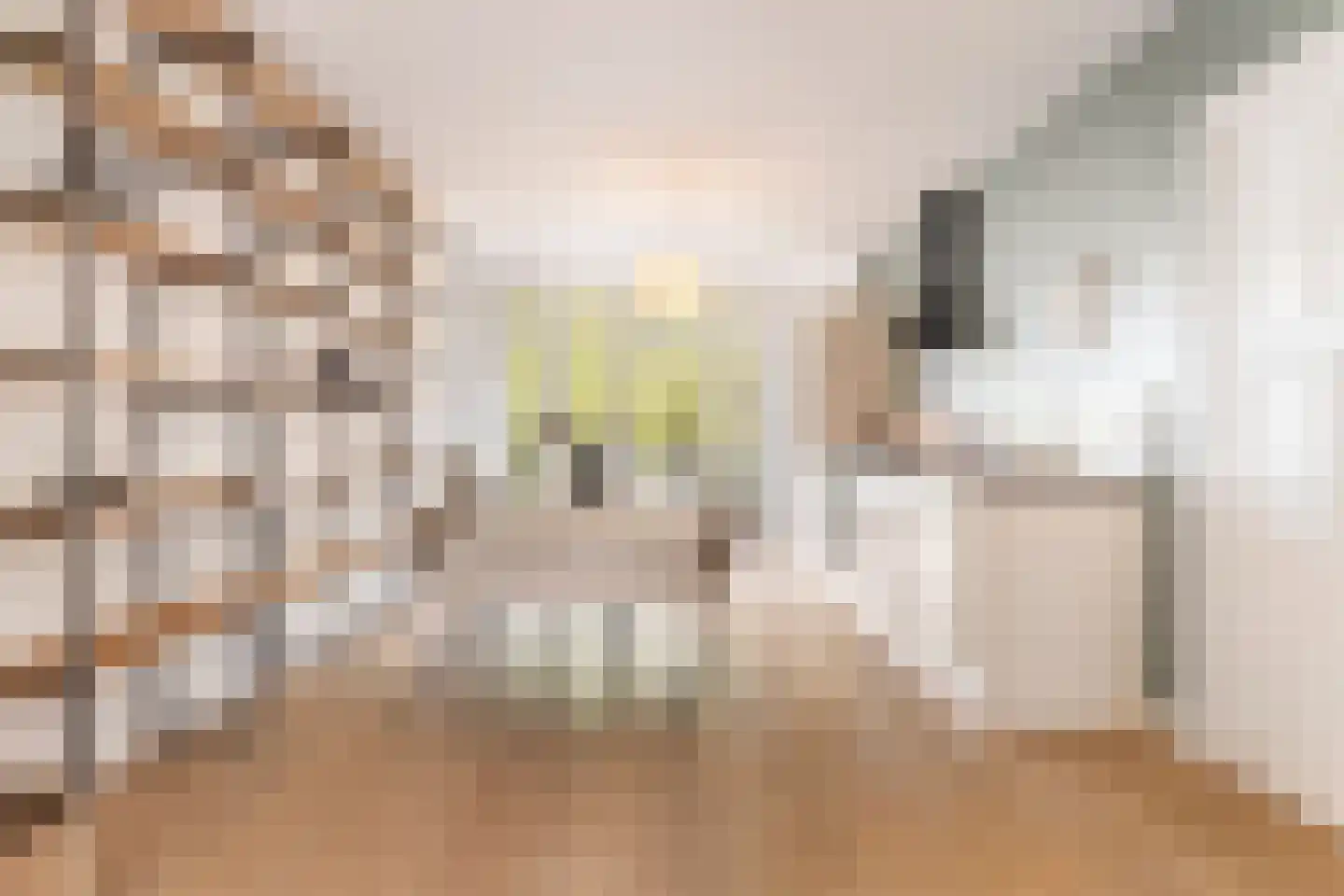 Niersstraat 20 H Amsterdam thumbnail 8