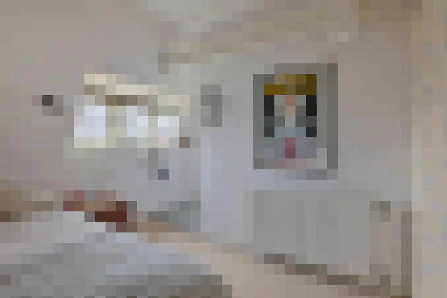 Niersstraat 22 2 Amsterdam thumbnail 22