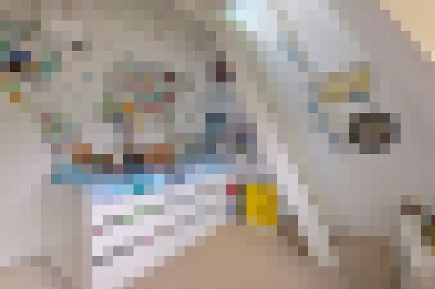 Niersstraat 22 2 Amsterdam thumbnail 25