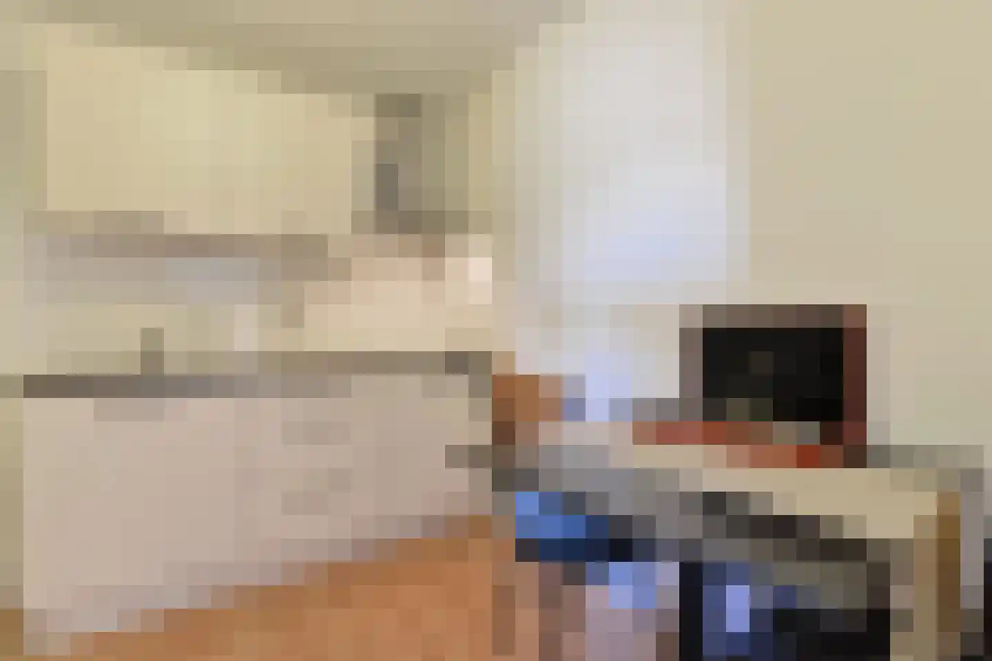 Niersstraat 37 1 Amsterdam thumbnail 34