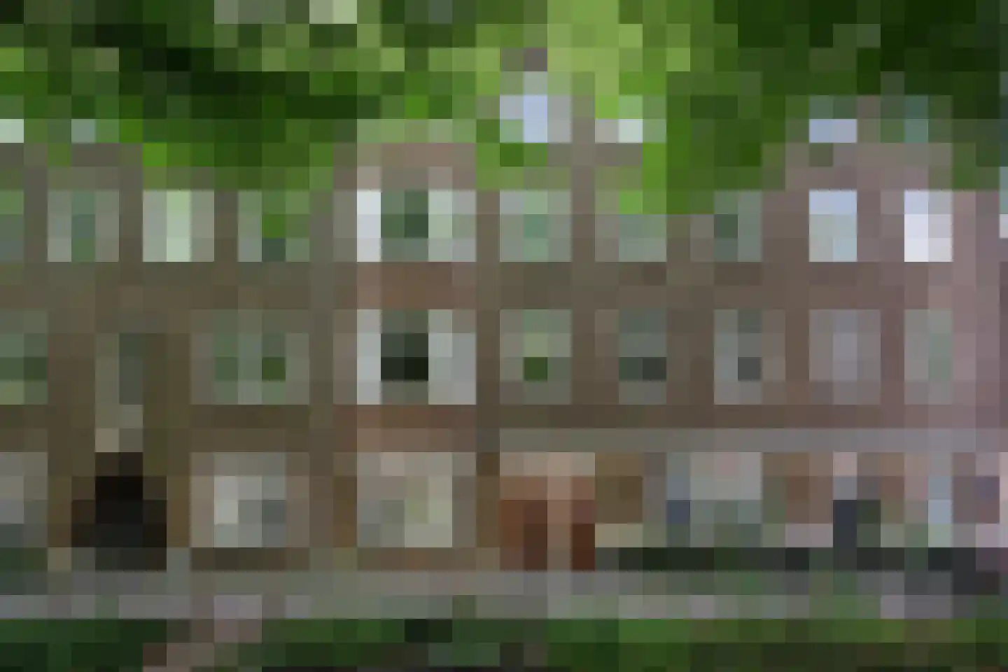 Niersstraat 37 1 Amsterdam thumbnail 37