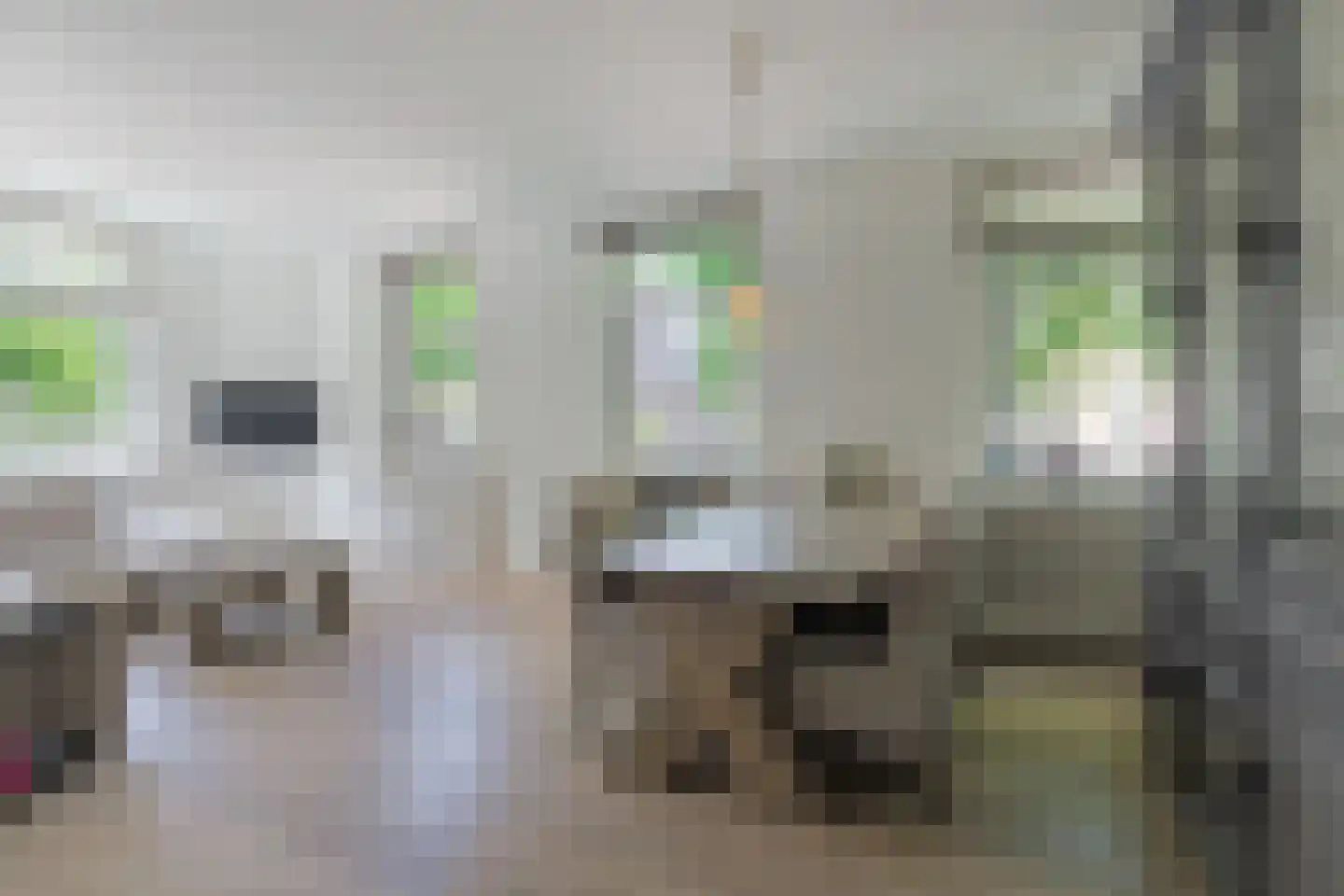 Niersstraat 37 1 Amsterdam thumbnail 6