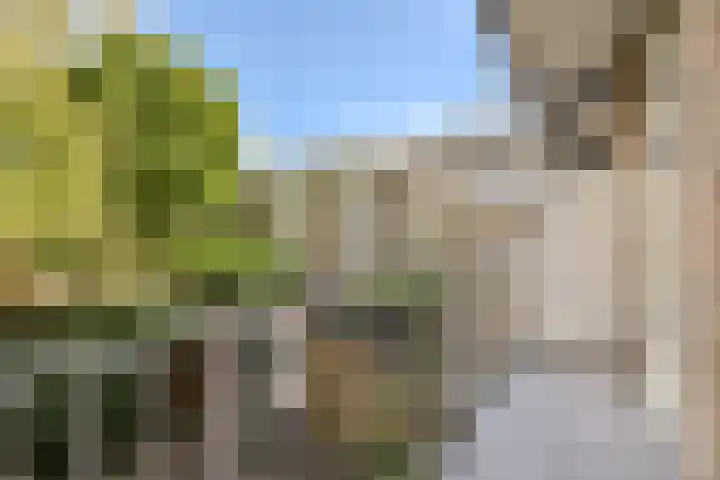 Niersstraat 42 1 Amsterdam thumbnail 20
