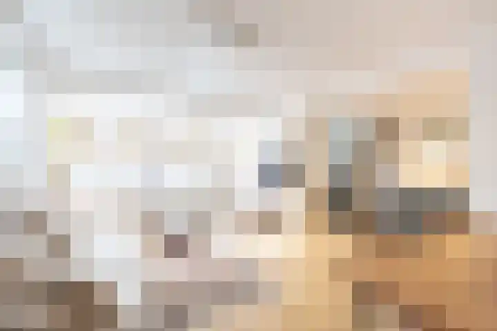 Niersstraat 46 Amsterdam foto 2