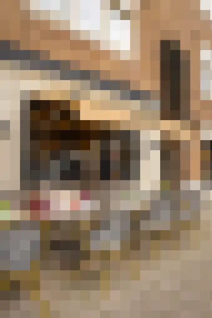 Niersstraat 46 Amsterdam thumbnail 31
