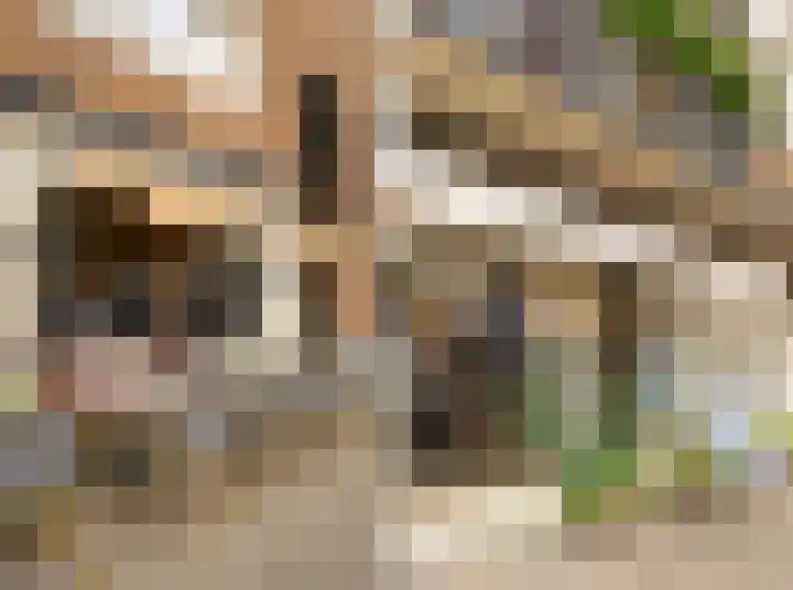 Niersstraat 46 Amsterdam thumbnail 32