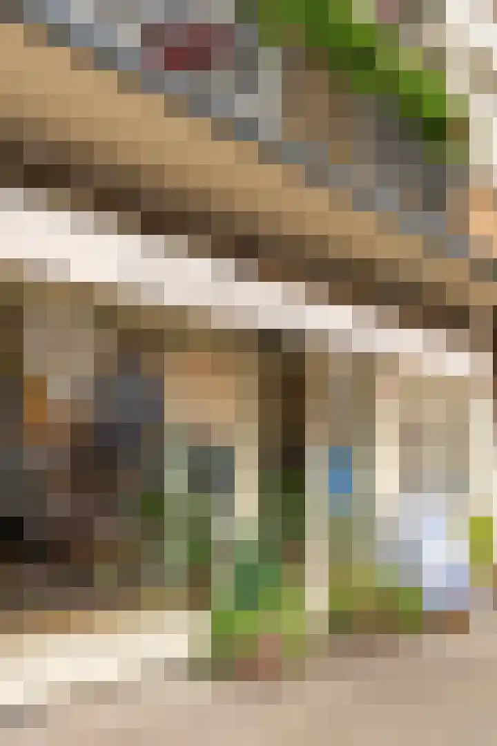 Niersstraat 46 Amsterdam thumbnail 33