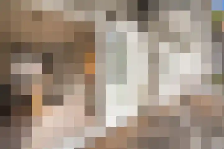 Niersstraat 7 2 Amsterdam thumbnail 12