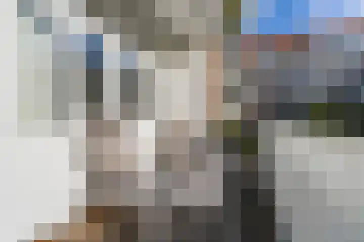 Niersstraat 7 2 Amsterdam thumbnail 35