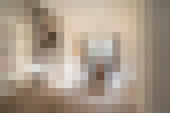 Niersstraat 7 2 Amsterdam thumbnail 7