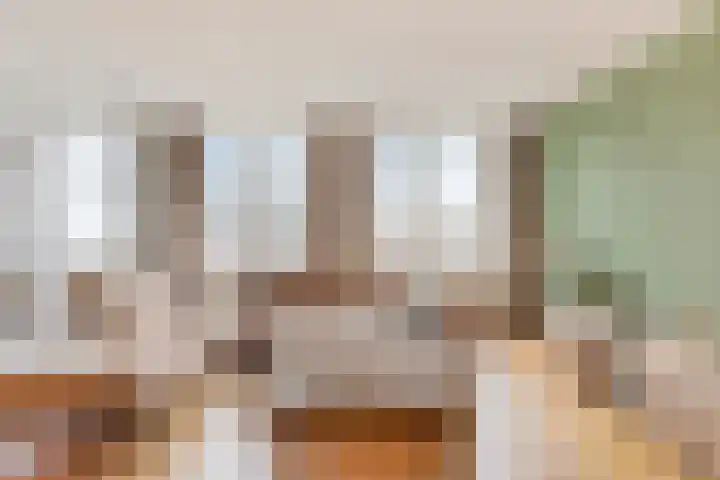 Niesgoet 11 Ell thumbnail 12