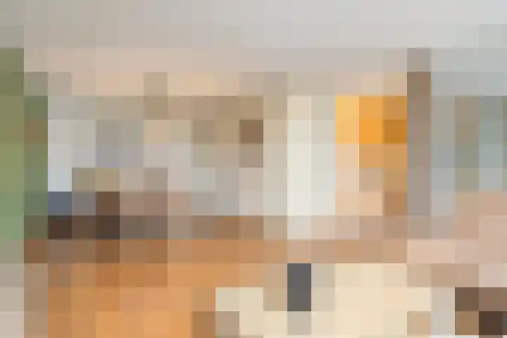 Niesgoet 11 Ell thumbnail 13
