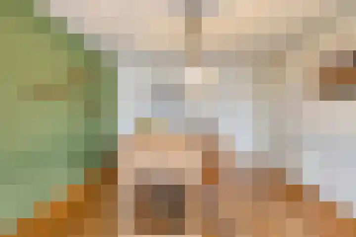 Niesgoet 11 Ell thumbnail 14