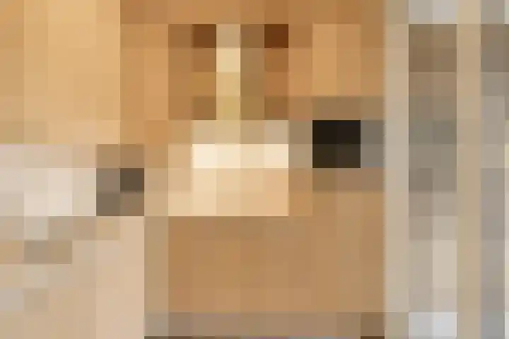 Niesgoet 11 Ell thumbnail 16