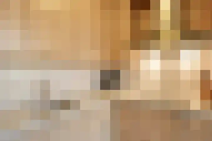 Niesgoet 11 Ell thumbnail 17