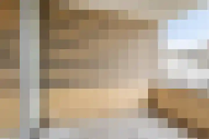 Niesgoet 11 Ell thumbnail 19