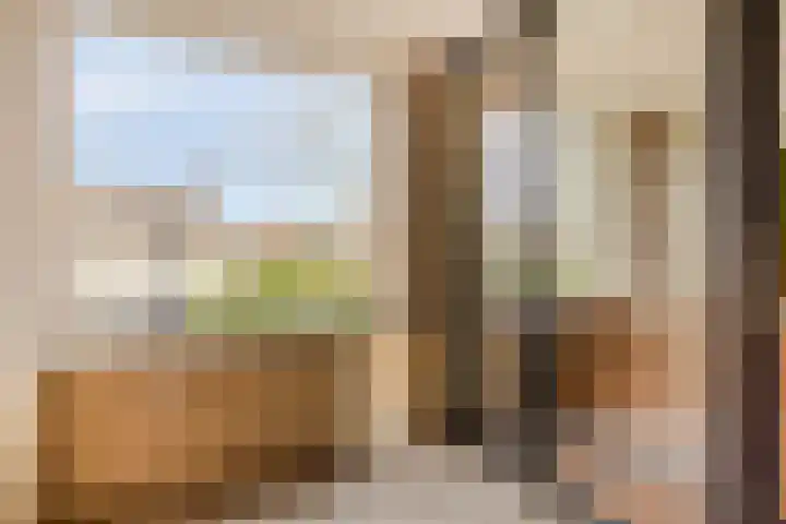 Niesgoet 11 Ell thumbnail 20