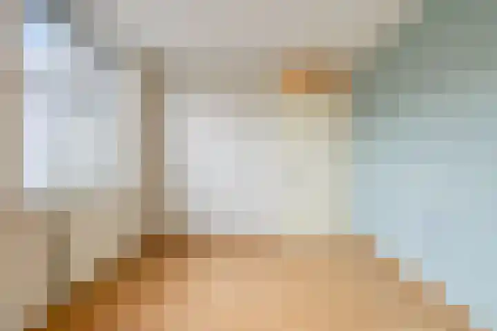 Niesgoet 11 Ell thumbnail 23
