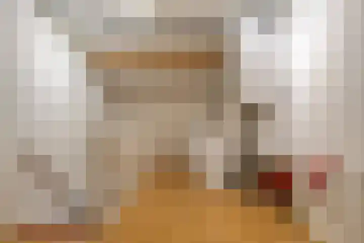 Niesgoet 11 Ell thumbnail 27