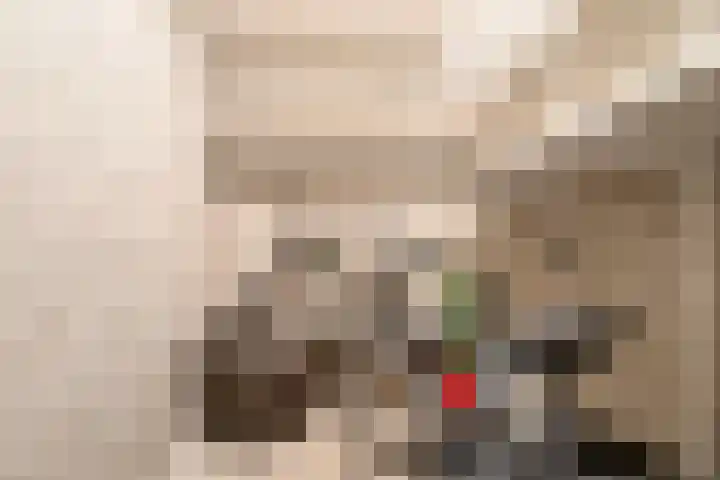 Niesgoet 11 Ell thumbnail 30