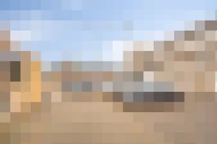 Niesgoet 11 Ell thumbnail 32