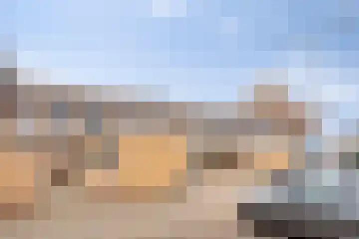 Niesgoet 11 Ell thumbnail 33