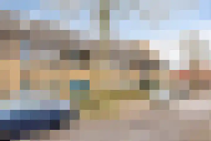 Niesgoet 11 Ell thumbnail 34