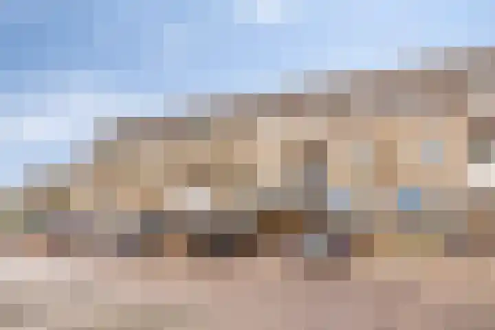Niesgoet 11 Ell thumbnail 37