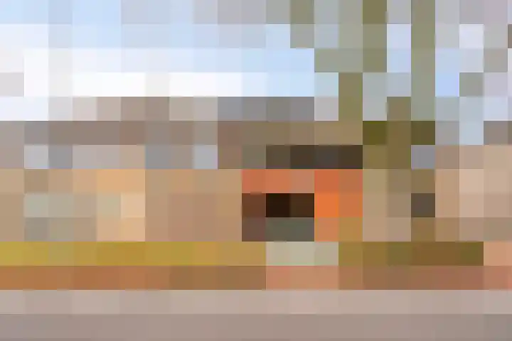 Niesgoet 11 Ell thumbnail 4