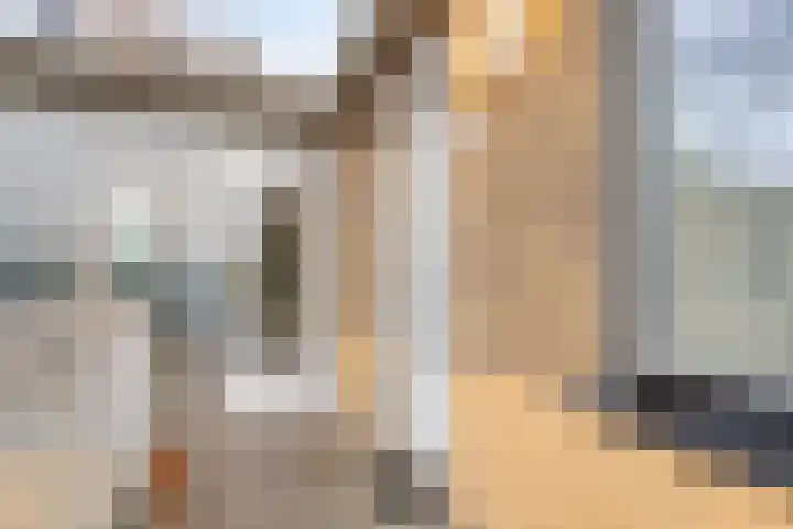 Niesgoet 11 Ell thumbnail 9