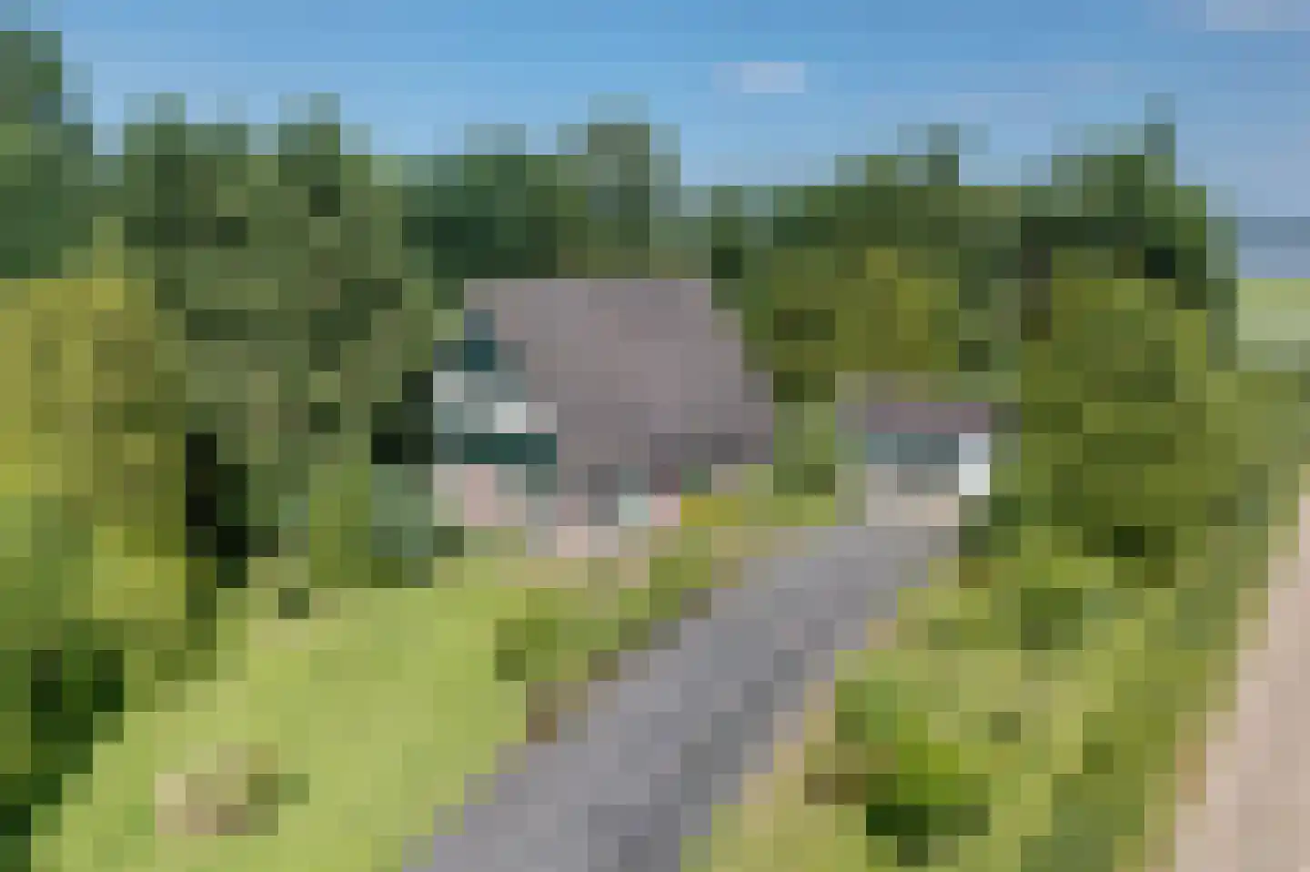 Niesoordlaan 109 in Midwolda