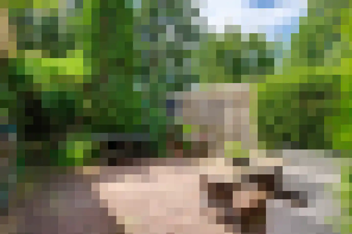 Niesoordlaan 109 Midwolda thumbnail 10