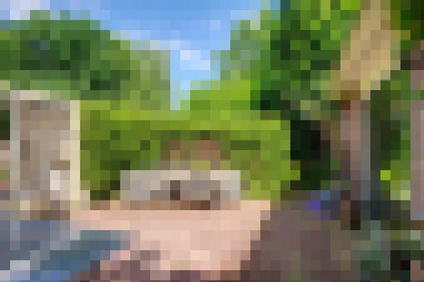Niesoordlaan 109 Midwolda thumbnail 11