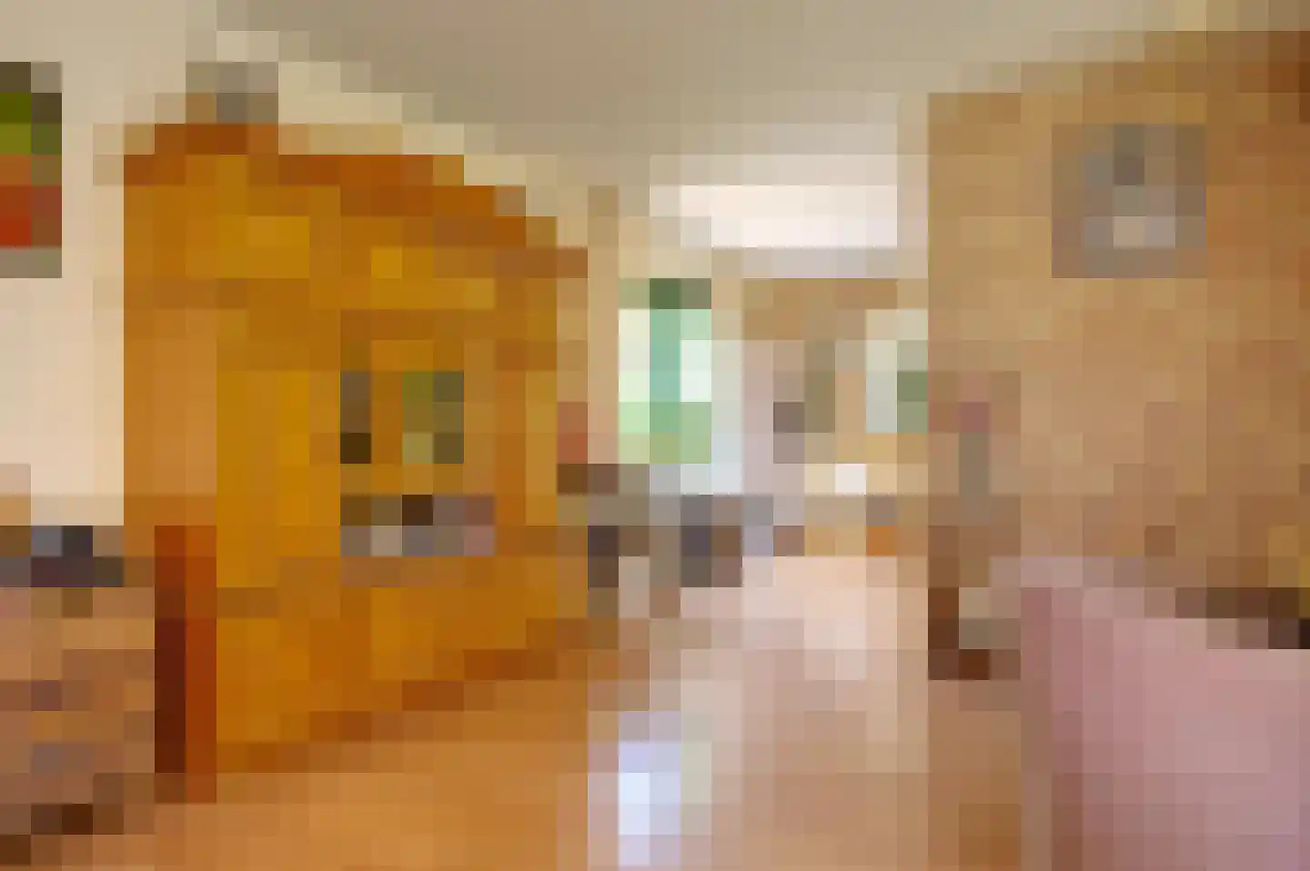 Niesoordlaan 109 Midwolda thumbnail 16